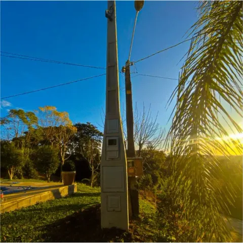 Poste de concreto com caixas de medição ao lado de uma palmeira